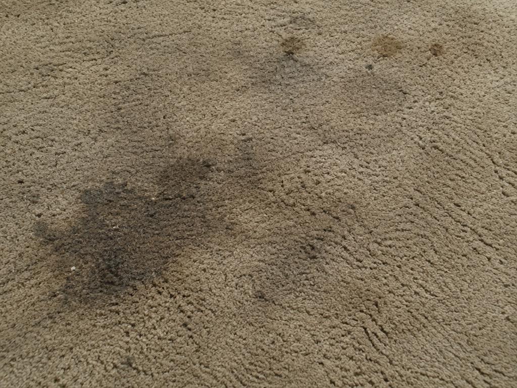 Heavily soiled beige carpet before cleaning